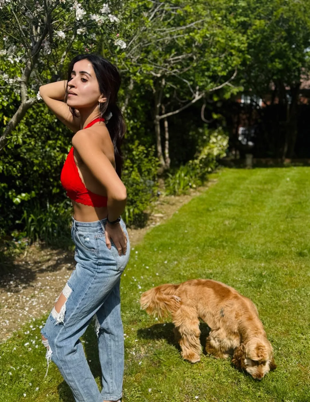 manmadhudu movie heroine anshu latest photos