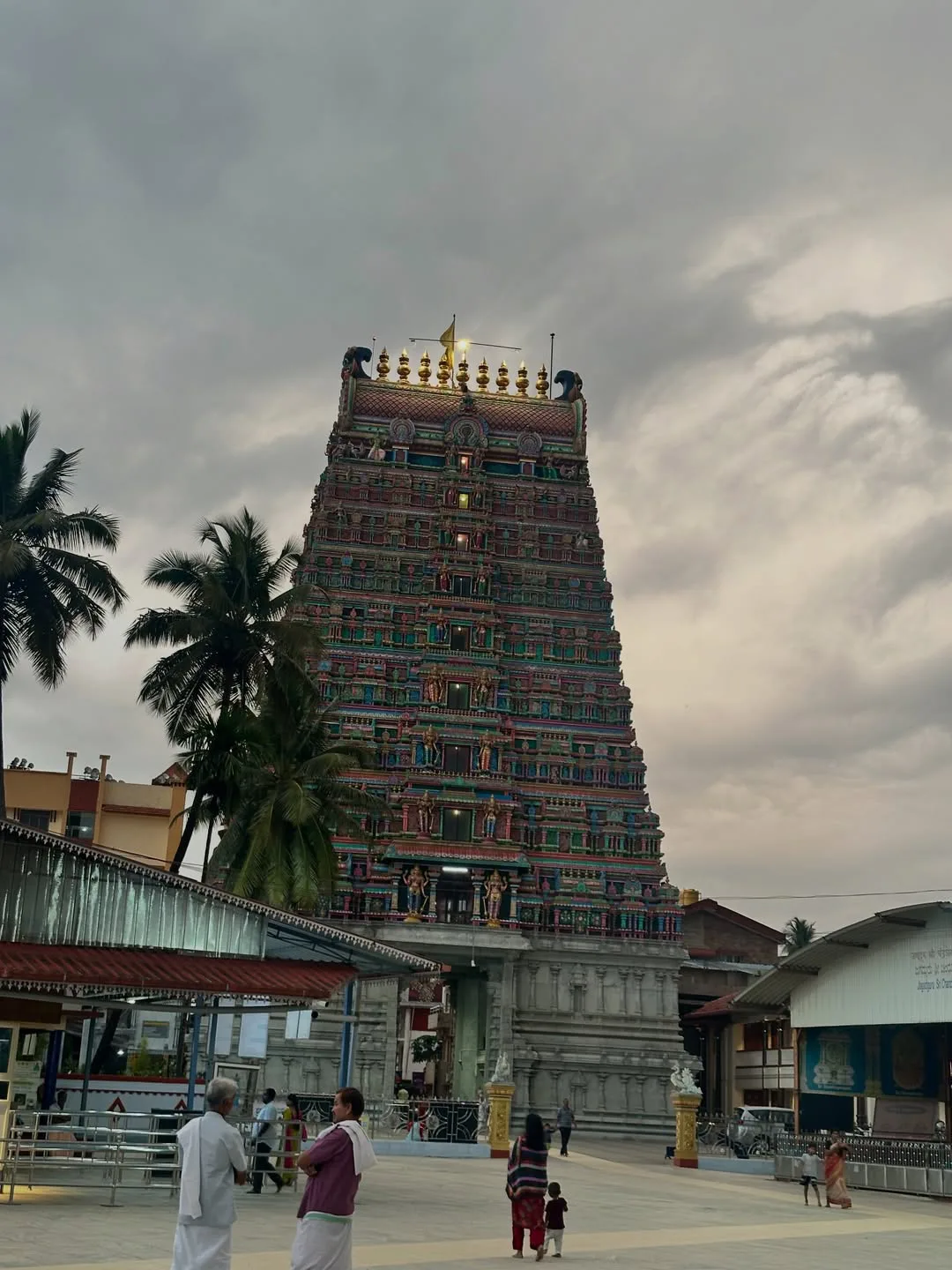 nabha natesh at shringeri Vidyashankara Temple