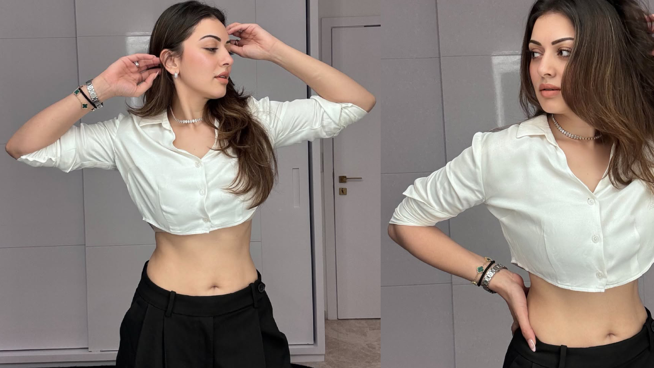 Hansika Motwani: నడుమందాలతో సెగలు రేపుతున్న హన్సిక.. లేటెస్ట్ ఫోటోలు వైరల్!