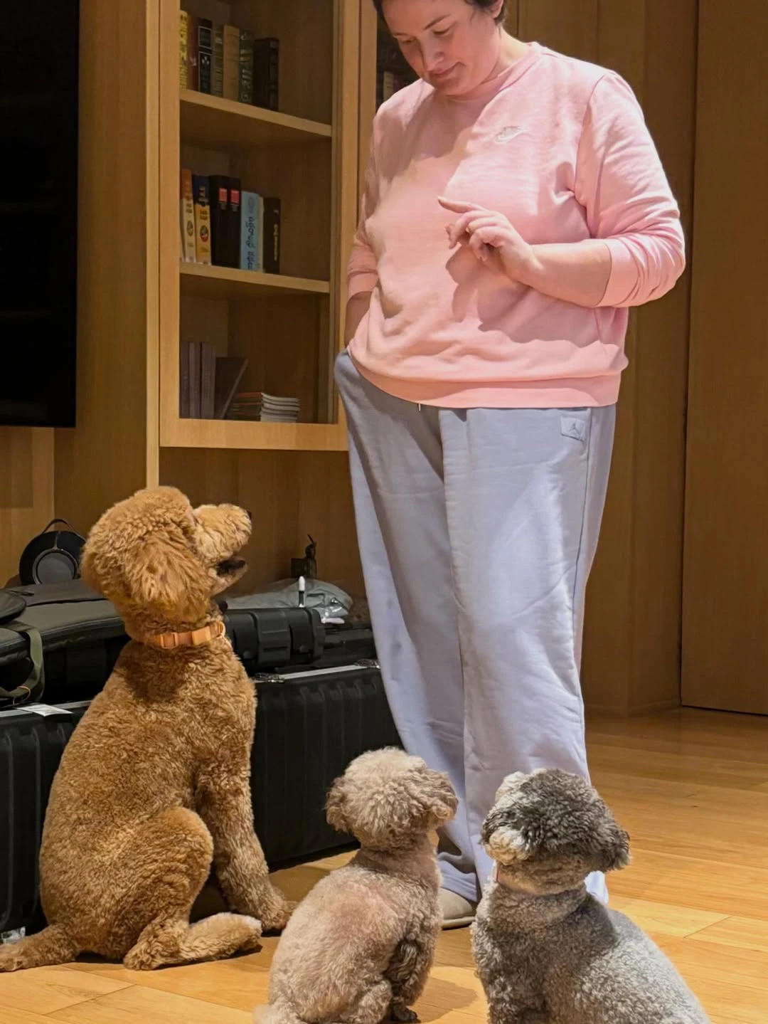 Pawan Kalyan Wife Anna Lezhneva Shares Photos with Pet Dogs