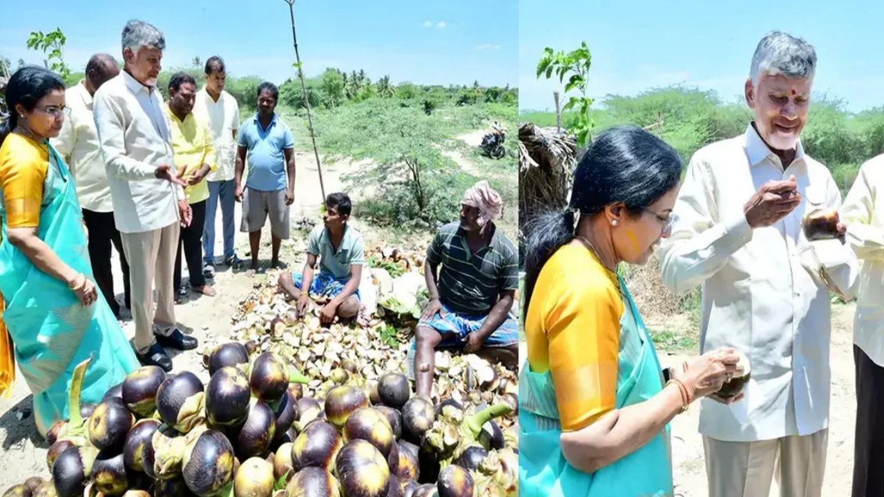 Chandrababu Naidu : రోడ్డుపక్కన ఆగి.. తాటి ముంజలు తిన్న చంద్రబాబు, భువనేశ్వరి.. ఫొటోలు వైరల్