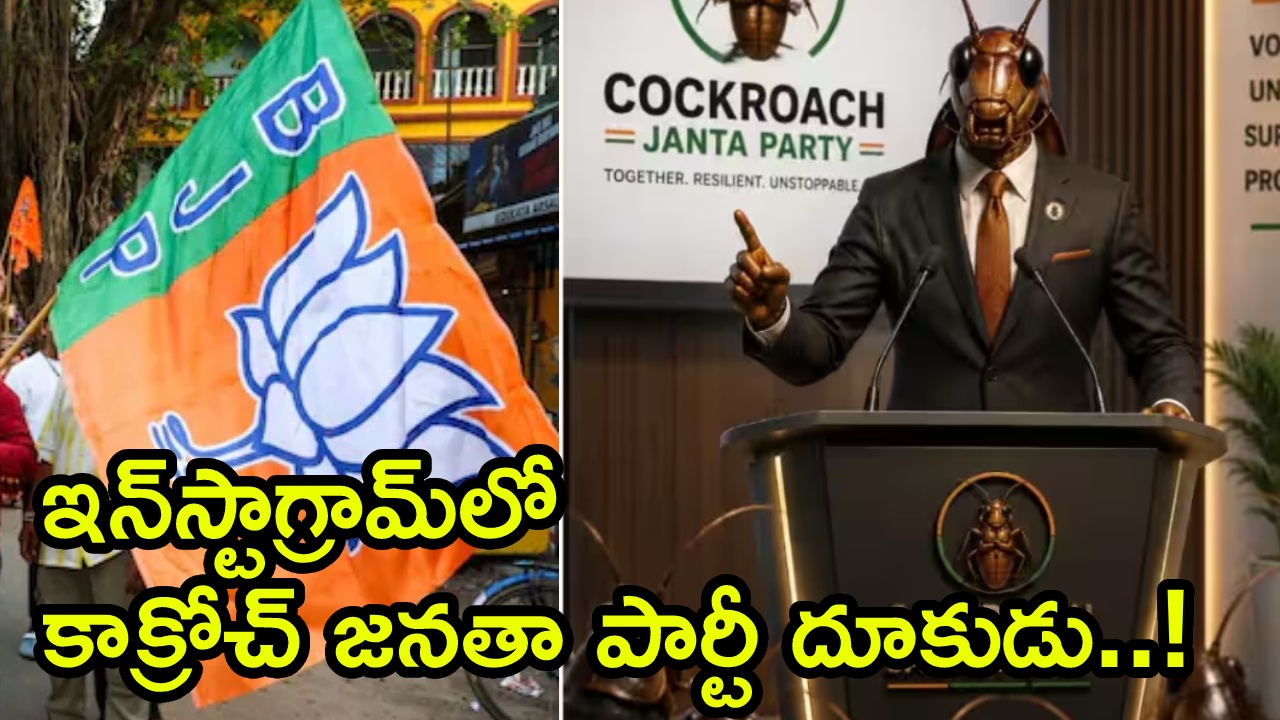 Cockroach Janata Party : ఇన్‌స్టాలో  ‘కాక్రోచ్ జనతా పార్టీ’ సునామీ.. బీజేపీ కంటే ఎక్కువ ఫాలోయర్స్.. కాంగ్రెస్ కంటే..