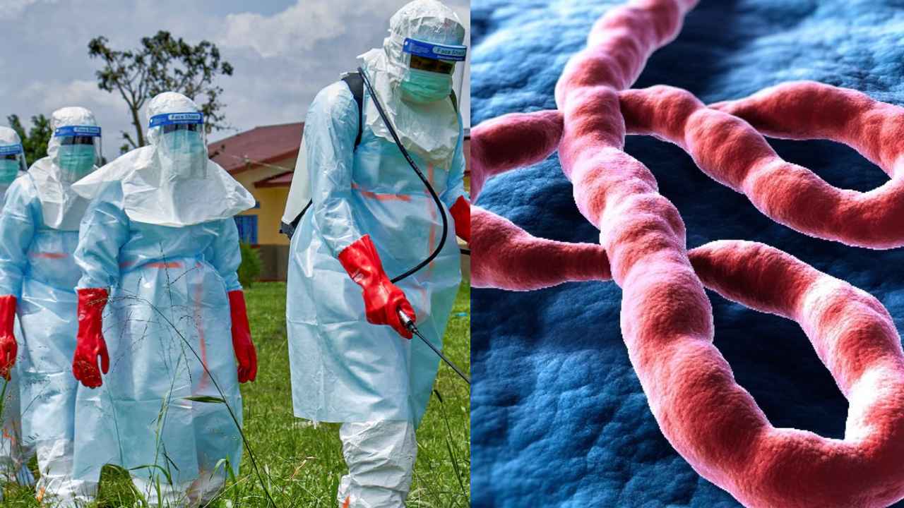 Ebola Risk: డేంజర్ బెల్స్.. 10 ఆఫ్రికా దేశాలకు పొంచి ఉన్న ఎబోలా ముప్పు..