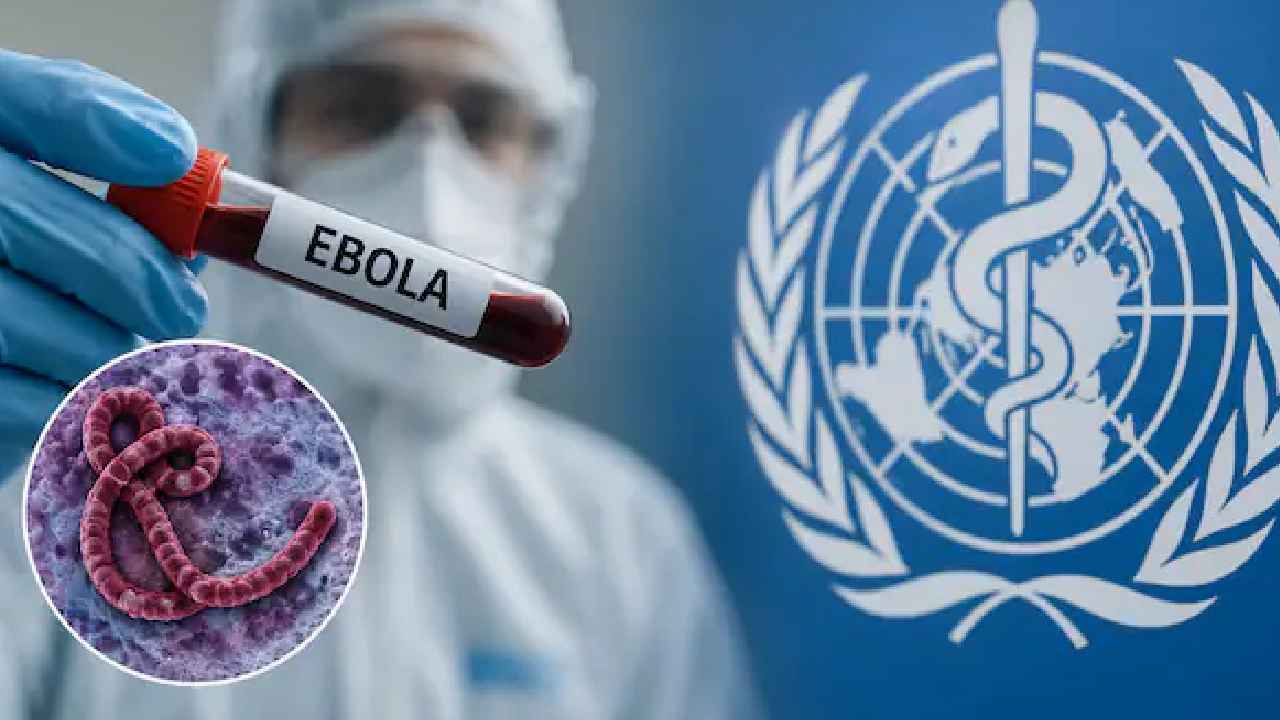 Ebola Virus: గుజరాత్ లో ఎబోలా కలకలం.. కాంగో నుంచి వచ్చిన వ్యాపారవేత్తలో ఆ లక్షణాలు..! ఐసోలేషన్ లో కాంగో నుంచి వచ్చిన వ్యాపారవేత్త..