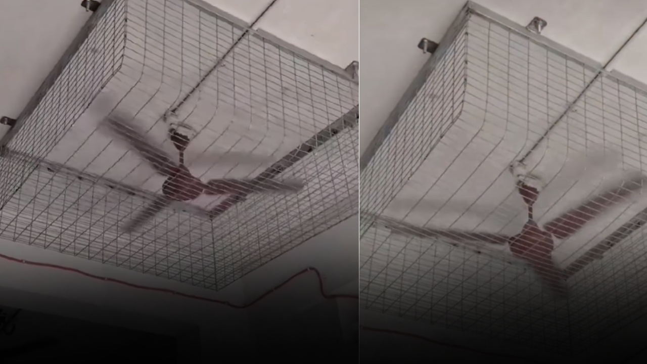 Kota hostel ceiling fan : హాస్టల్ గదుల్లో విద్యార్థుల ఆత్మహత్యలను నివారించేందుకు ఫ్యాన్లకు ఐరన్ గ్రిల్స్ ఏర్పాటు.. ఏకిపారేస్తున్న నెటిజన్లు
