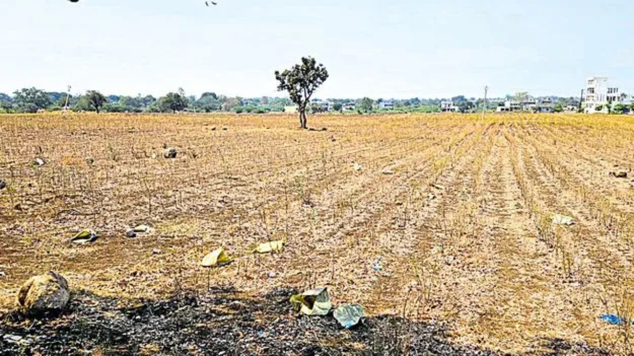 Land Value Hike : సర్కార్ కీలక నిర్ణయం.. భారీగా పెరిగిన భూముల విలువ.. ఏకంగా 100 శాతం పెంపు.. ఏ ప్రాంతంలో ఎంతంటే