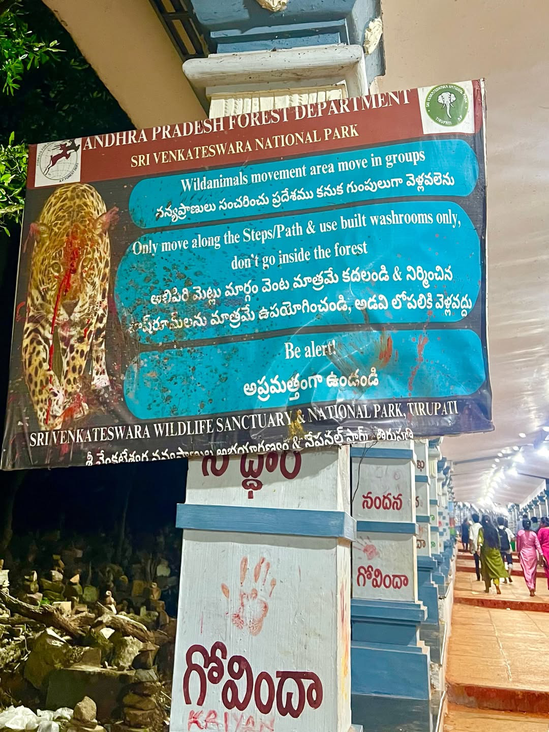 Mad for Each Other show winners Vasanthi and Pawan visited Tirumala (1)