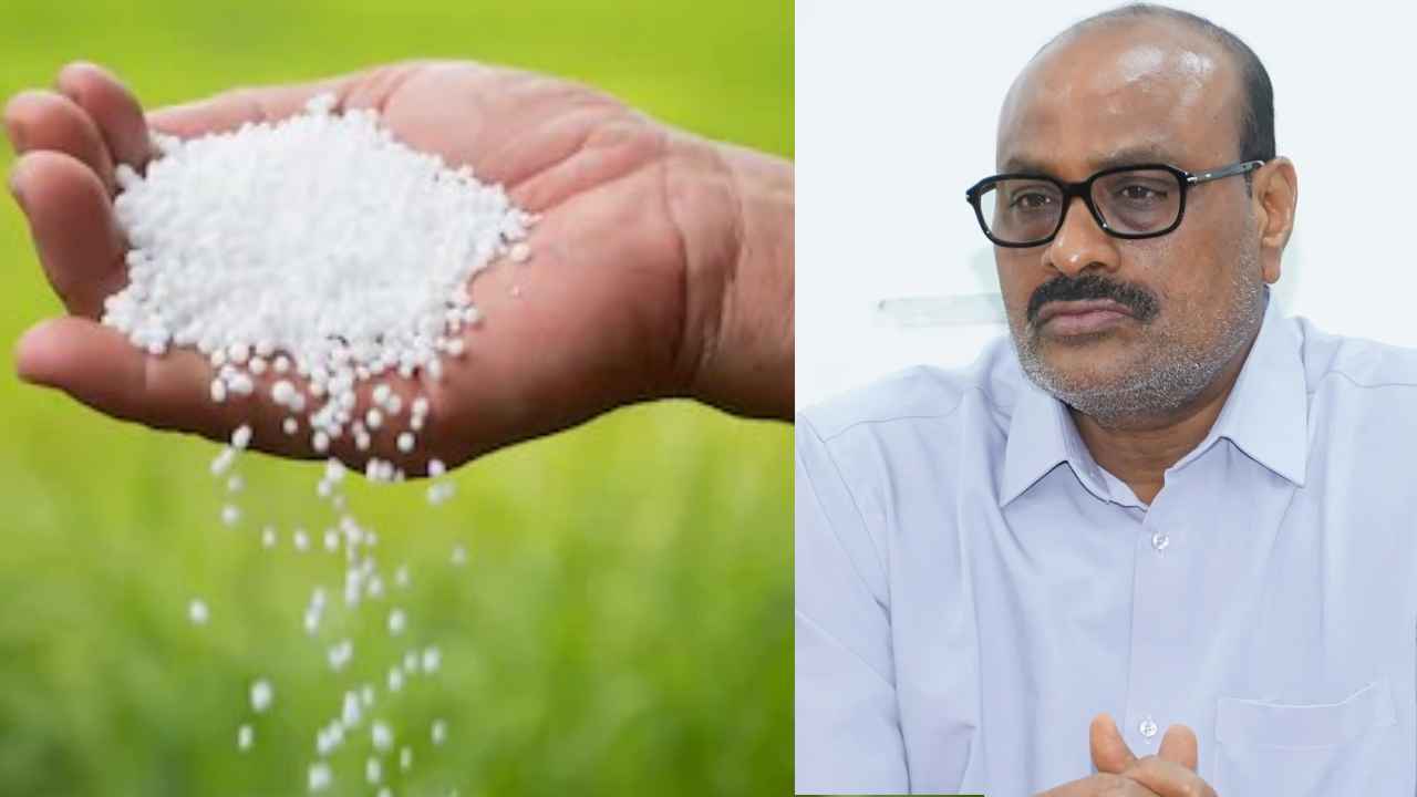 Urea Cards: యూరియా కోసం రైతులకు ప్రత్యేక కార్డులు- మంత్రి అచ్చెన్నాయుడు కీలక ప్రకటన