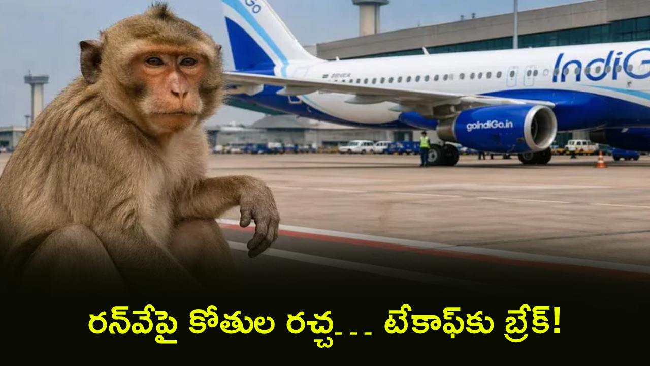 Monkeys on Runway : ఎయిర్‌పోర్టులో కోతుల గ్యాంగ్ రచ్చ.. రన్‌వేపై మాస్ సీన్.. టేకాఫ్ టైంలో ఒక్కసారిగా..!