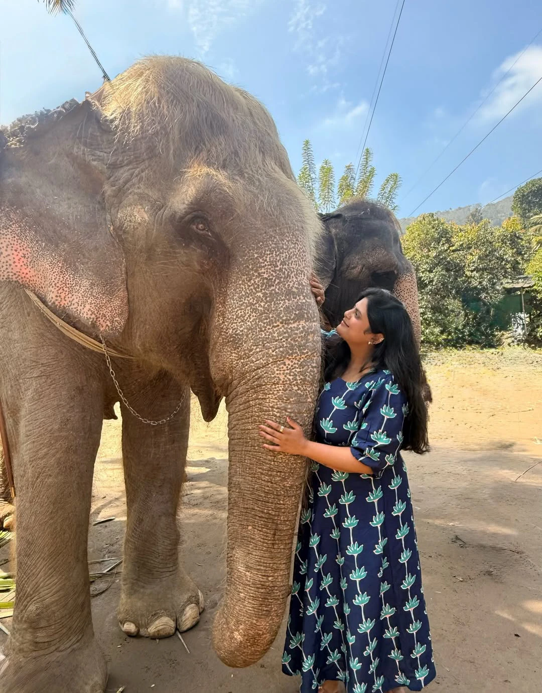 Pavithra Puri Cute Photos with Elephants