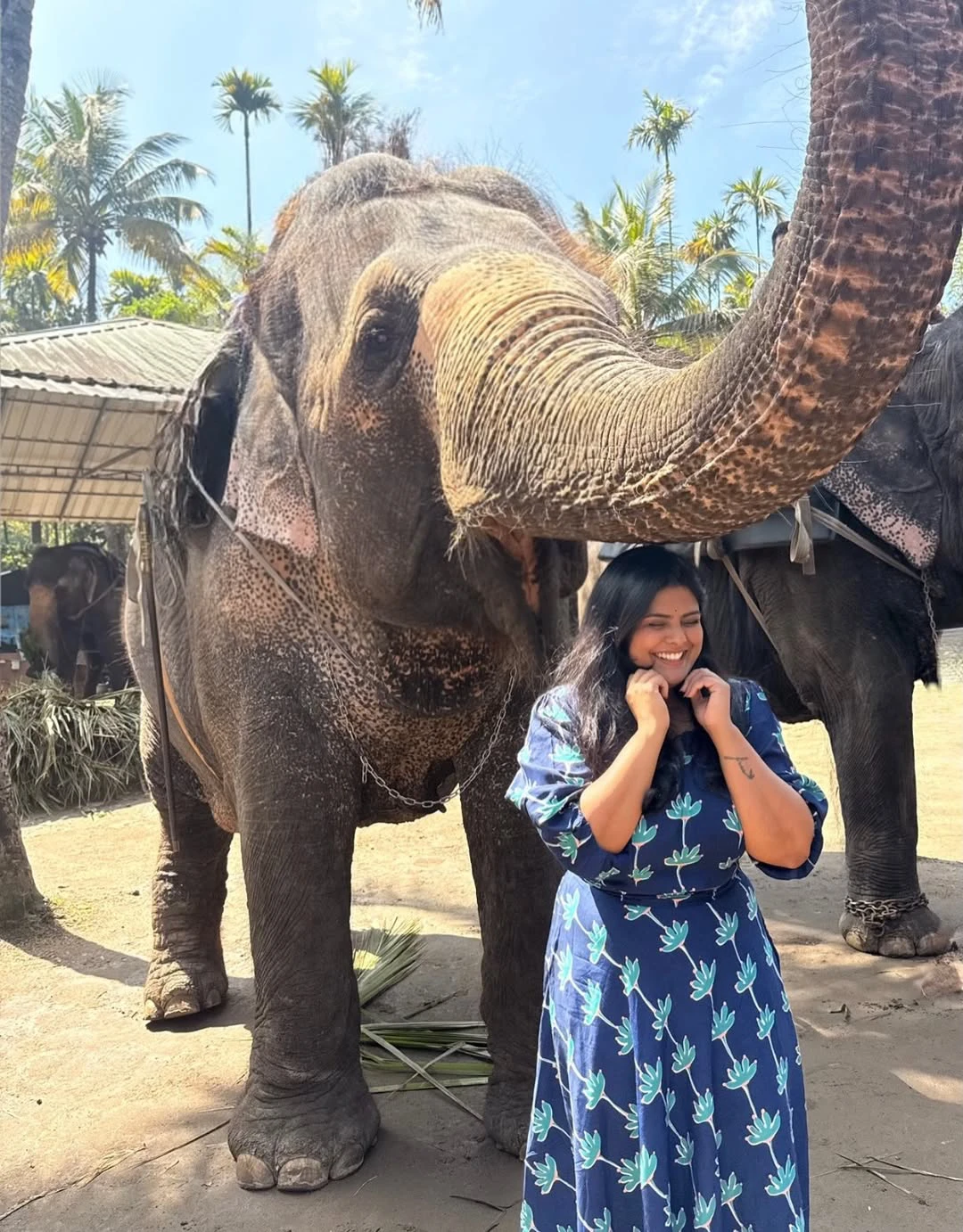 Pavithra Puri Cute Photos with Elephants