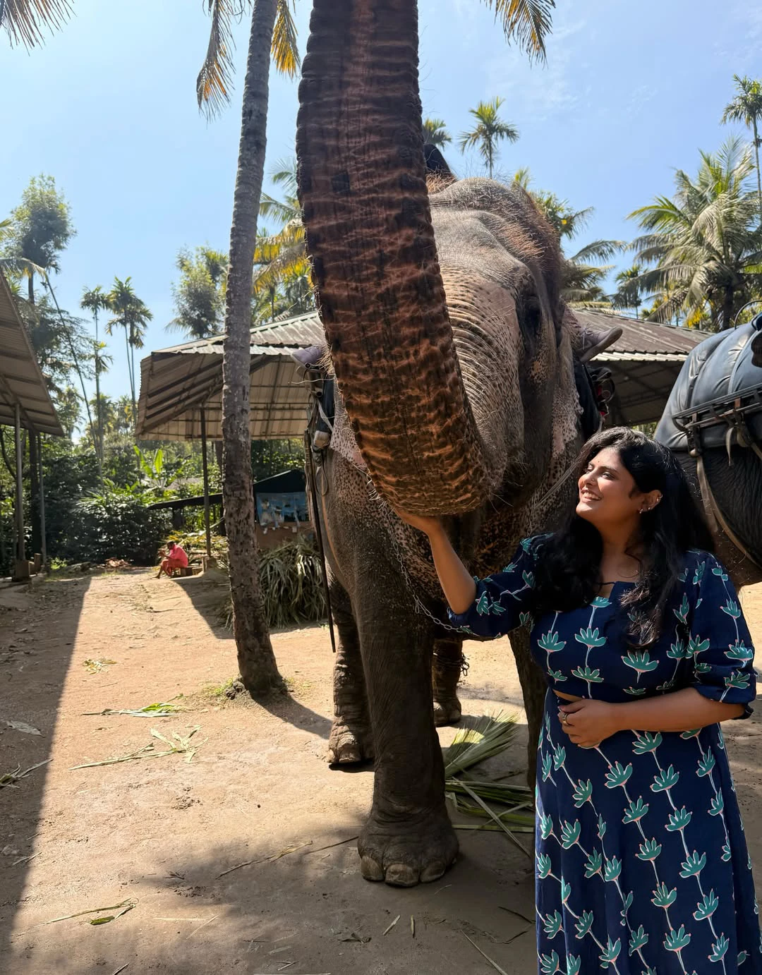 Pavithra Puri Cute Photos with Elephants