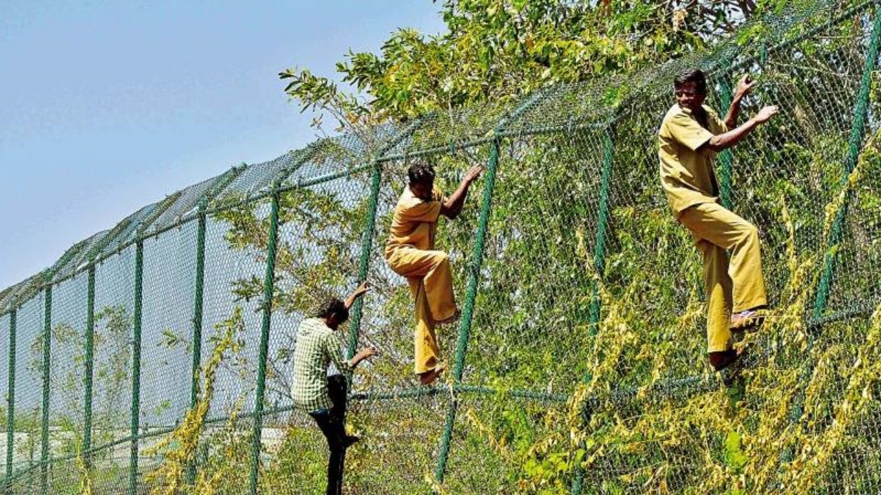 AP Forest Jobs 2026 : నిరుద్యోగులకు శుభవార్త.. అటవీ శాఖలో ఉద్యోగాల భర్తీకి నోటిఫికేషన్‌ విడుదల.. ఈ పత్రాలు ఉంటే చాలు