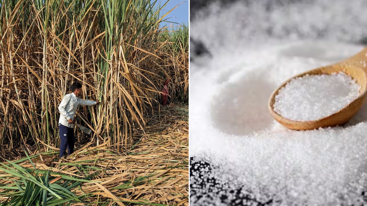 Sugar Exports : కేంద్రం కీలక నిర్ణయం.. ఆ ఎగుమతులు బంద్.. పేద, మధ్య తరగతి వర్గాల ప్రజలకు భారీ ఊరట