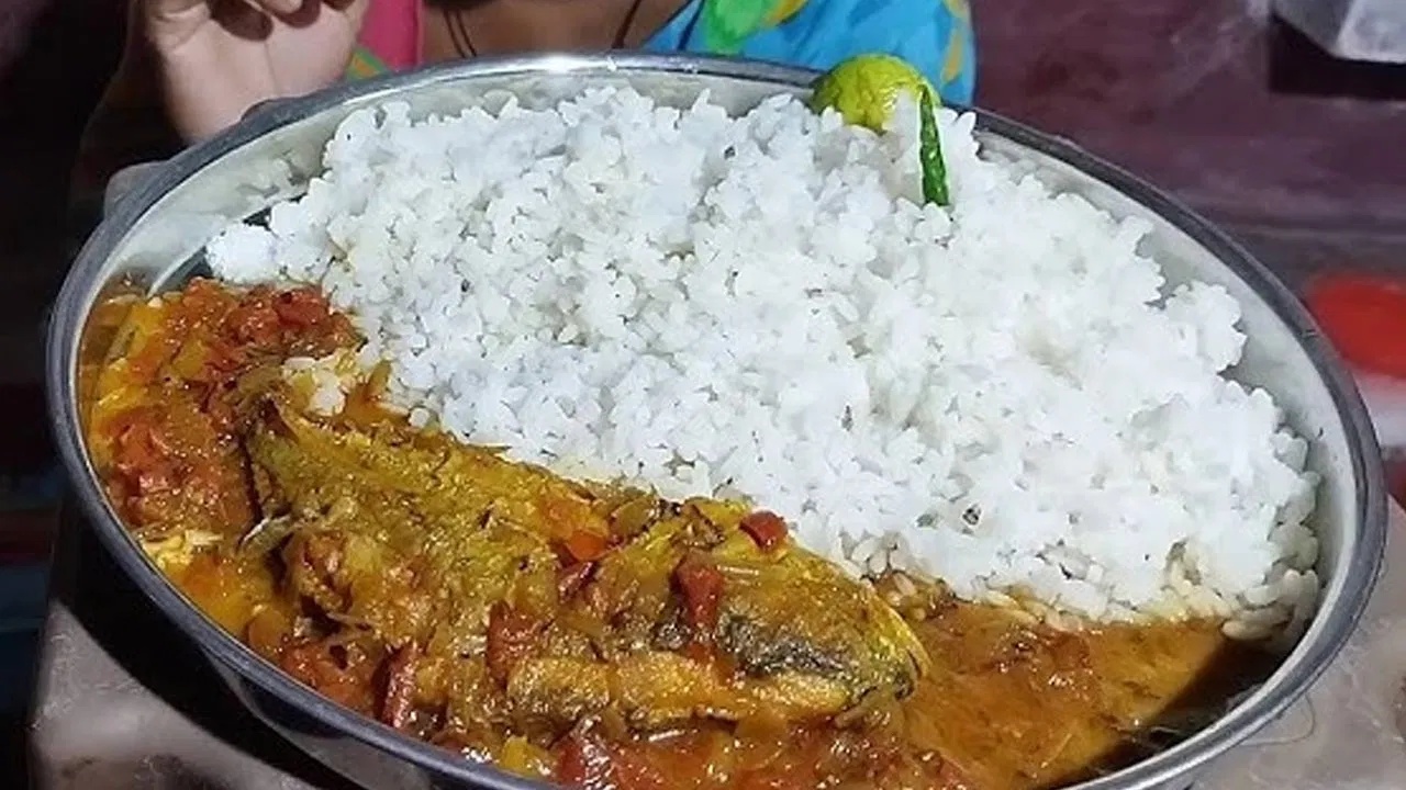 Rs 5 Fish Rice : 5 రూపాయలకే చేపల కూరతో భోజనం.. గవర్నమెంట్ కొత్త మీల్స్ స్కీం