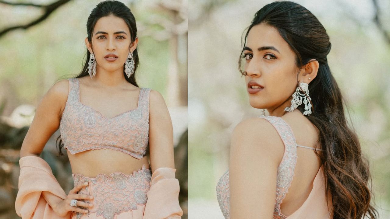 Niharika Konidela: మెగా డాటర్ నిహారిక కొణిదెల మెరుపులు.. క్రేజీ ఫొటోలు వైరల్