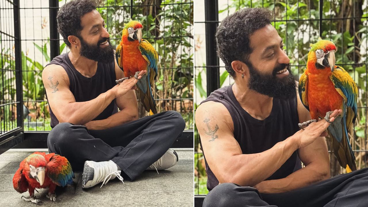 NTR : ఎన్టీఆర్ బర్త్ డే స్పెషల్ పోస్ట్.. ఇద్దరు ఫ్రెండ్స్‌ని పరిచయం చేస్తూ.. క్యూట్ ఫొటో..
