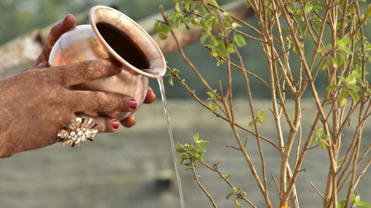 Tulsi Sunday : ఆదివారం తులసి మొక్కకు నీరు పోయడం, ఆకులు కోయడం చేస్తున్నారా.. ఇక మీ ఇంట దరిద్ర దేవత తాండవం..!