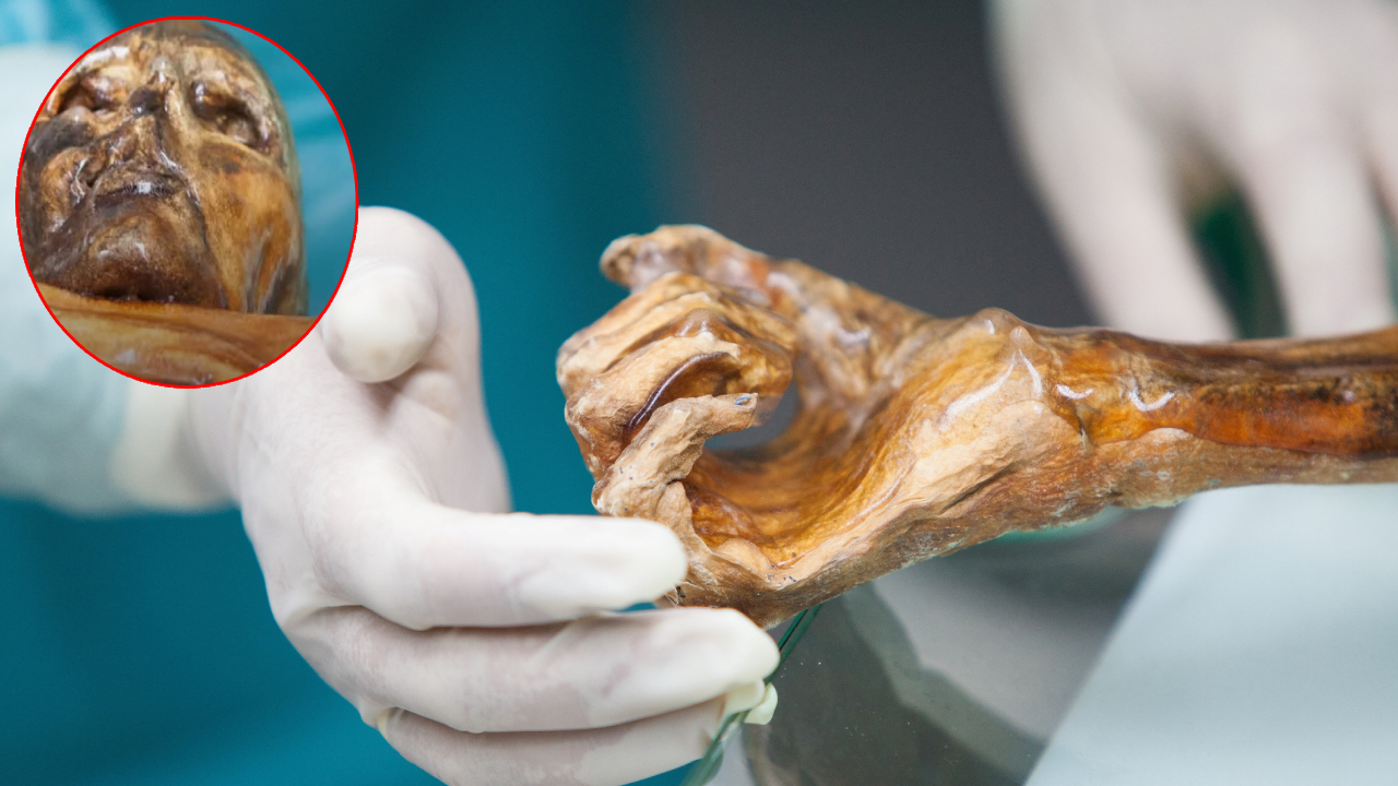 Otzi Mummy: చనిపోయిన శవంలో ‘సజీవ’ సంచలనం.. 5,300 ఏళ్లుగా బతికే ఉన్న బ్యాక్టీరియా.. ఒట్జీ మమ్మీ మరణం లేని మంచు కథ