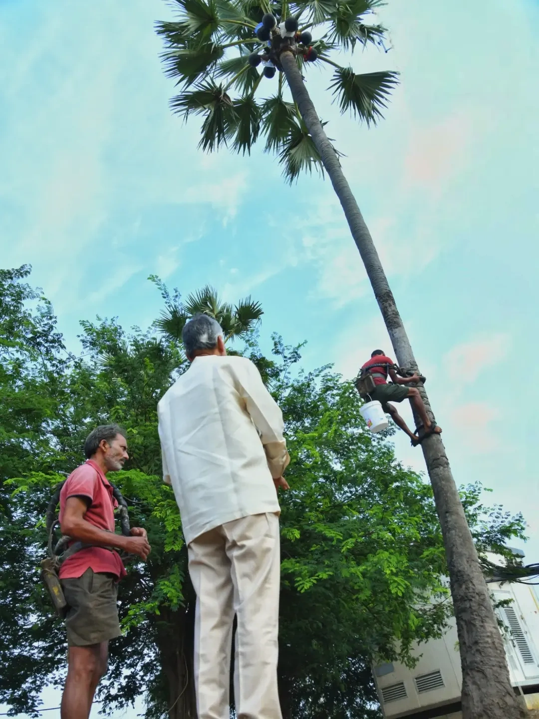 CM Chandrababu Naidu Drinks Palm Toddy