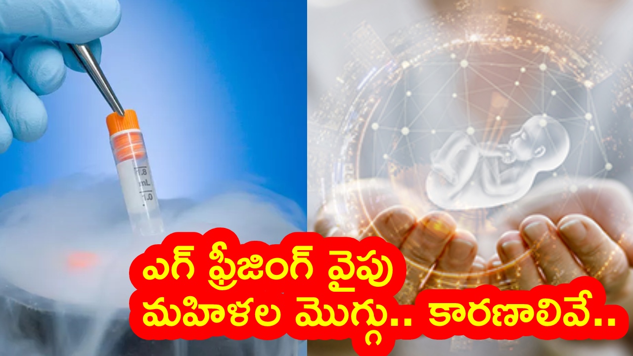 women Egg Freezing : అమ్మాయిల కొత్త ట్రెండ్.. సంతానంకోసం ముందస్తు జాగ్రత్త.. ఎగ్ ఫ్రీజింగ్‌కు పెరుగుతున్న డిమాండ్.. కారణాలు ఇవే!