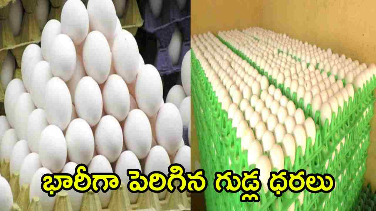 Egg Price Hike: కొండెక్కిన కోడిగుడ్డు ధర.. ట్రే ధర ఎంతో తెలిస్తే షాకవుతారు?
