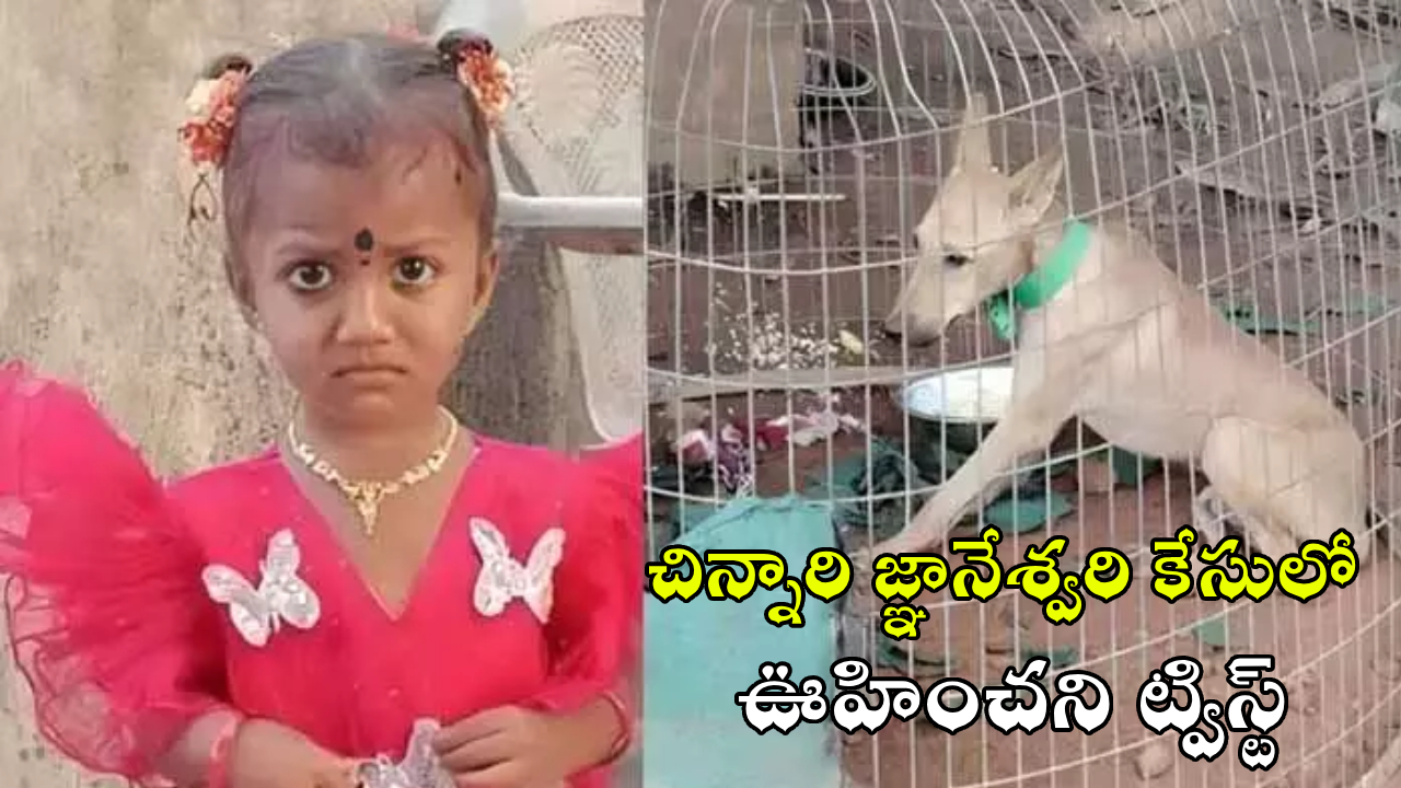 Gnaneshwari Case : చిన్నారి జ్ఞానేశ్వరి మిస్సింగ్ కేసులో ఊహించని ట్విస్ట్.. అకస్మాత్తుగా పెంపుడు కుక్క మృతి!