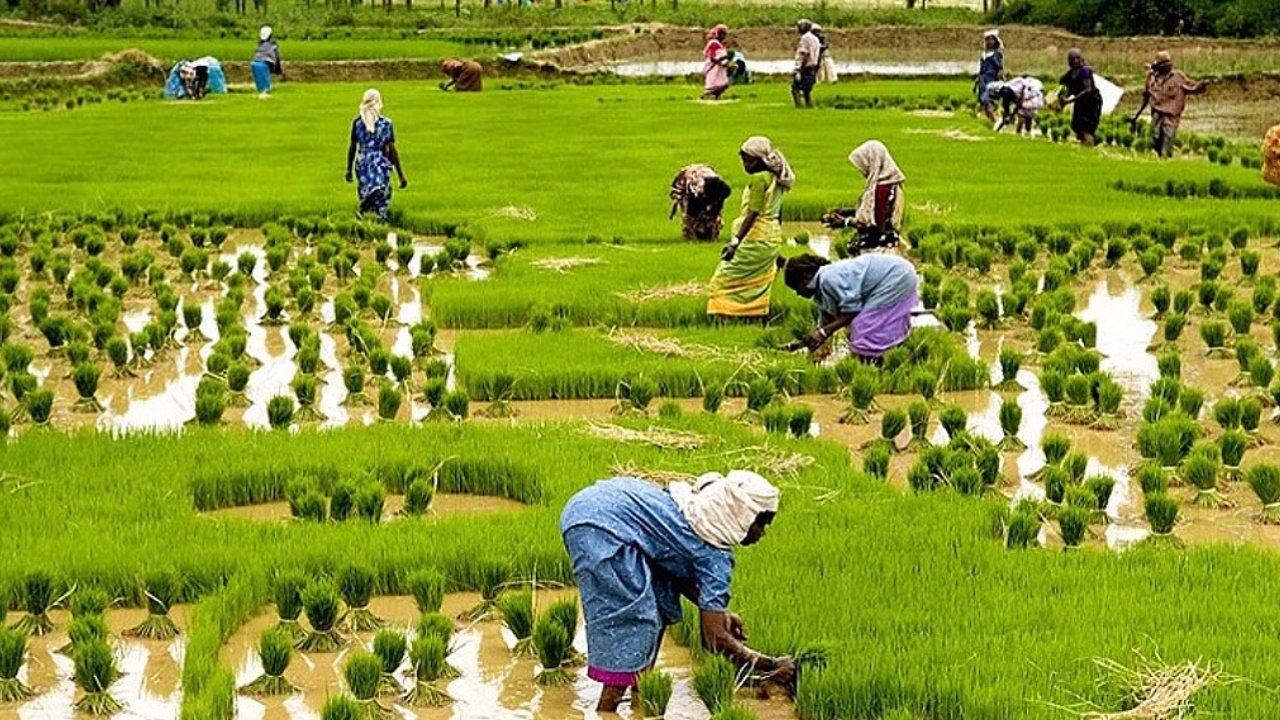 Kisan Credit Card New Rules : రైతులకు భారీ శుభవార్త.. తాకట్టు లేకుండానే రూ.2లక్షల రుణం.. ఆర్బీఐ నిబంధనల్లో కీలక మార్పులు