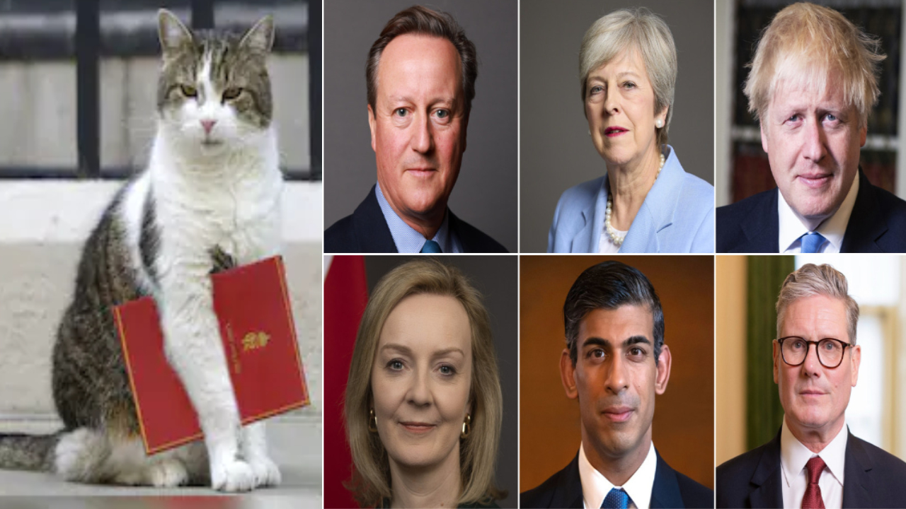 Chief Mouser Larry: ఆరుగురు ప్రధానుల దగ్గర పని చేసిన పిల్లి.. ఏడో పీఎం కోసం వెయిటింగ్..