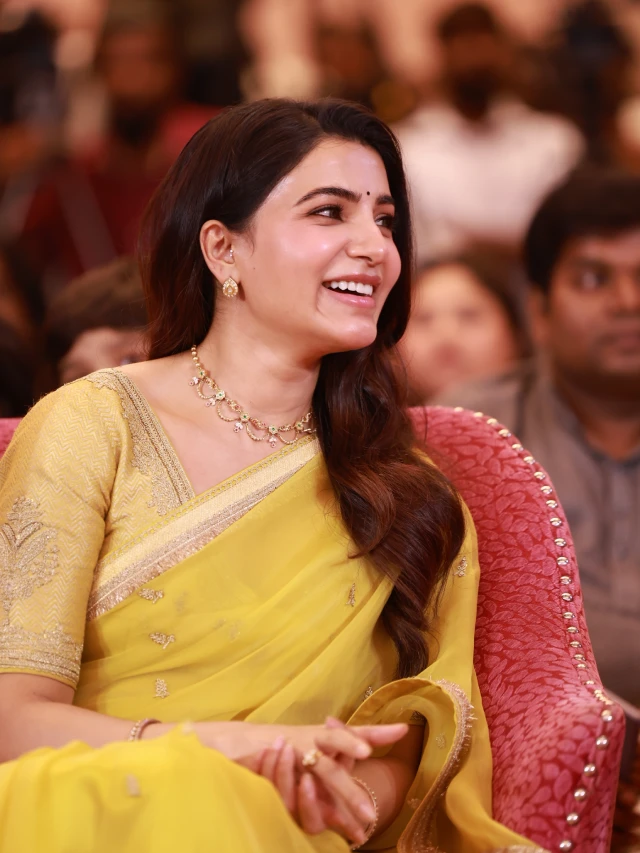Maa Inti Bangaram Pre Release Event