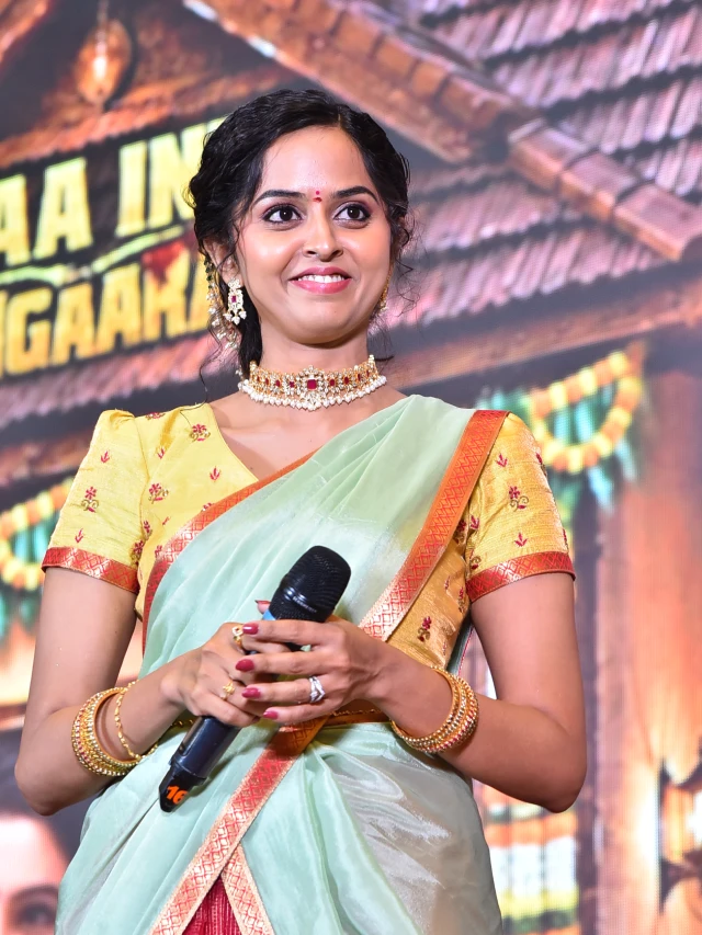 Maa Inti Bangaram Pre Release Event
