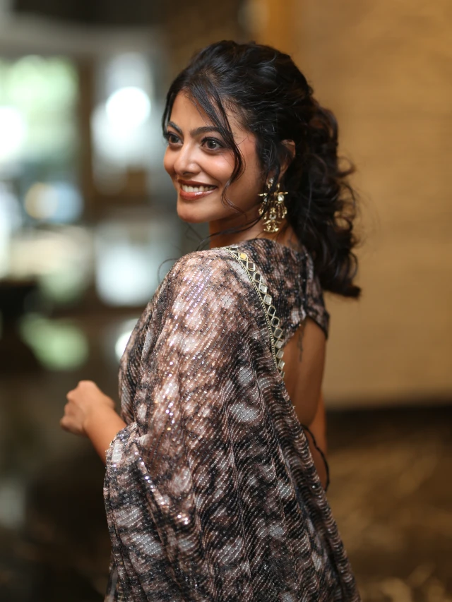 Merin Philip Mesmerizing Looks in Saree