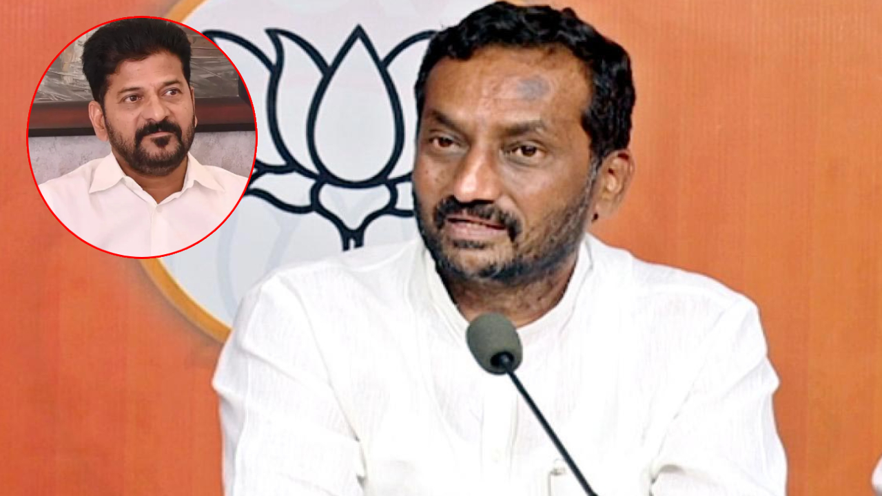 Raghunandan Rao: దమ్ముంటే అసెంబ్లీ రద్దు చేయండి.. సీఎం రేవంత్‌కు రఘునందన్ రావు సవాల్