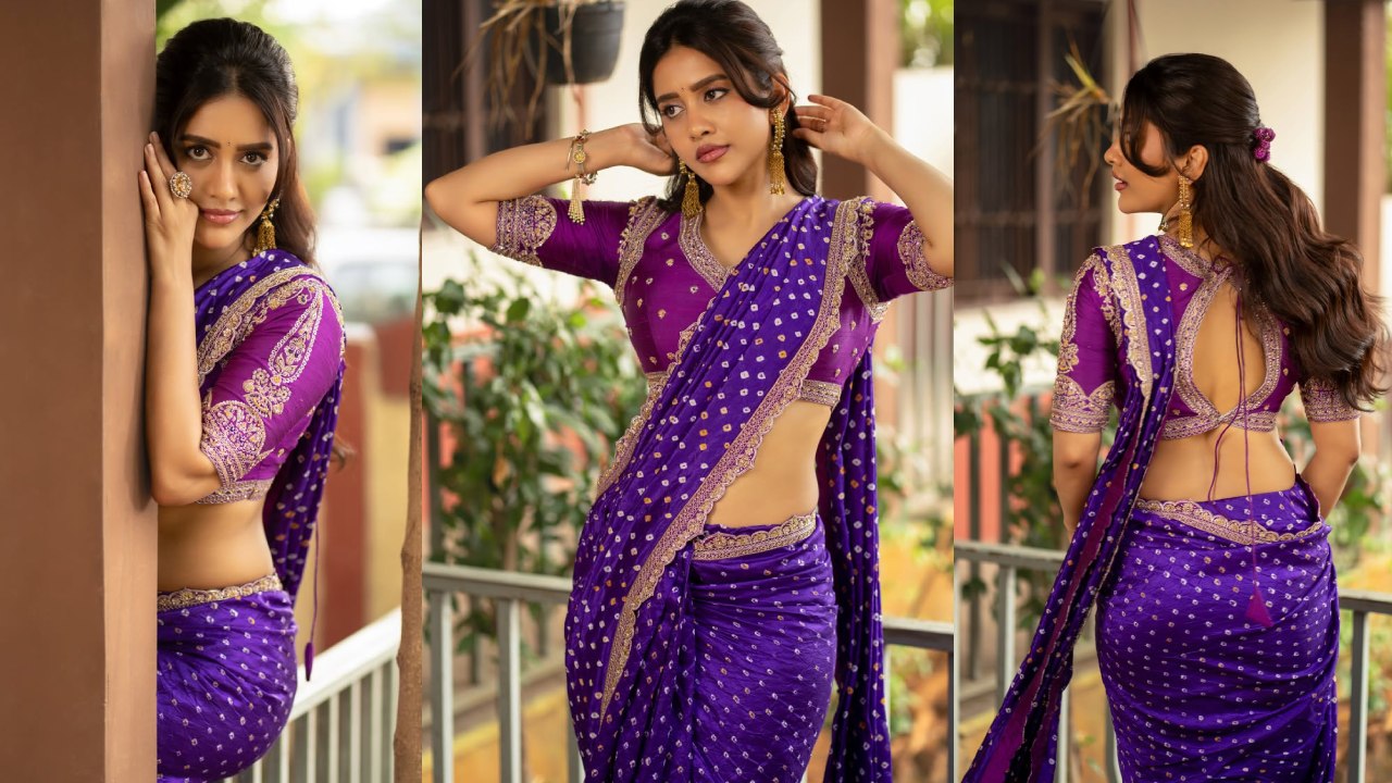 Nabha Natesh Showing Her Beauty in Saree