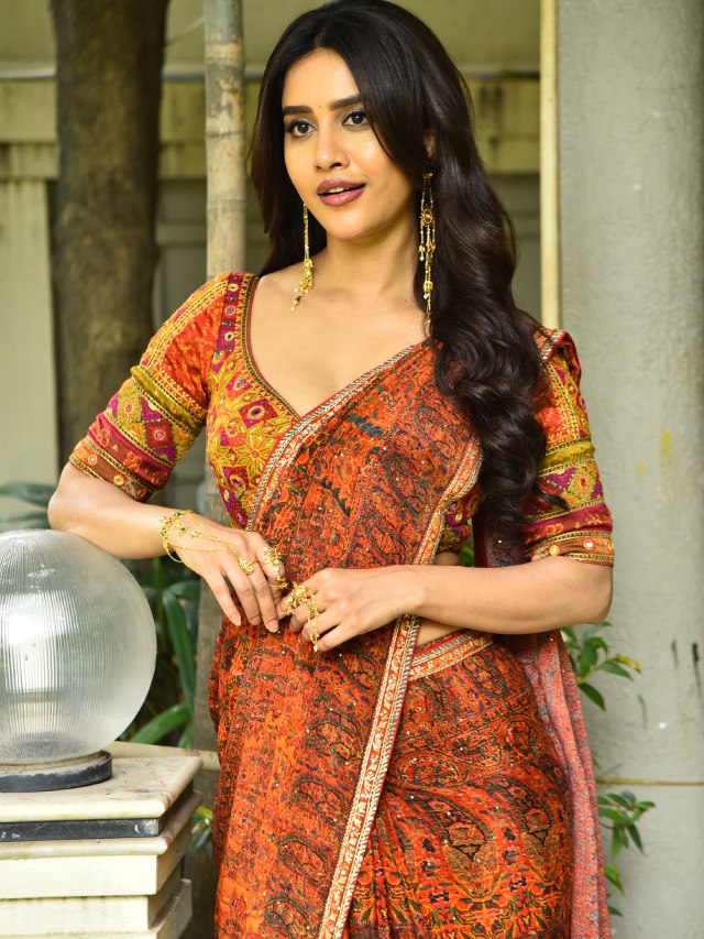 Nabha Natesh in Saree at Nagabandham Promotions