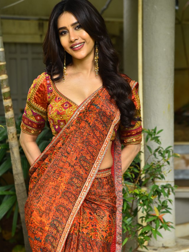 Nabha Natesh in Saree at Nagabandham Promotions