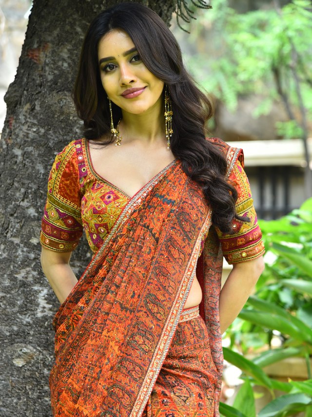 Nabha Natesh in Saree at Nagabandham Promotions
