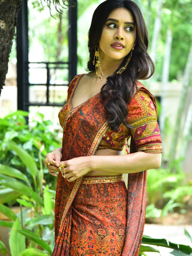 Nabha Natesh in Saree at Nagabandham Promotions
