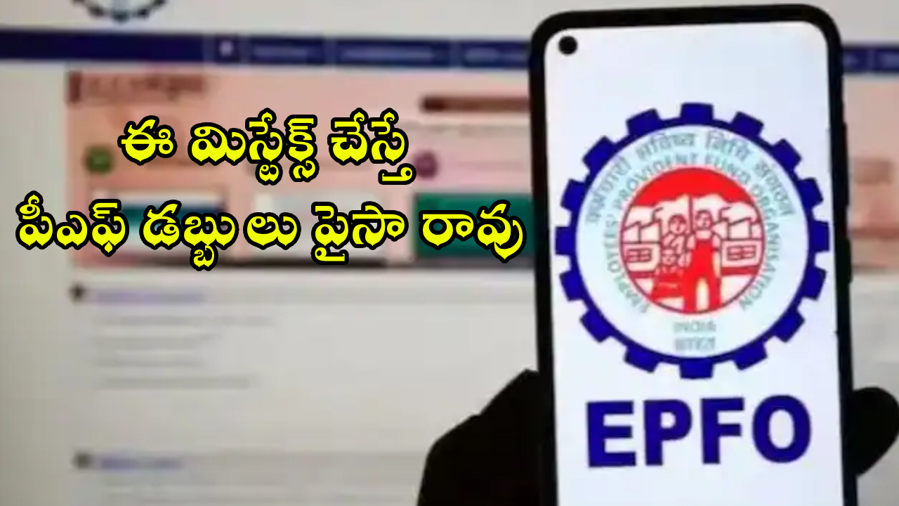 PF withdrawal : PF డబ్బులు కావాలా? ఫస్ట్ మీ EPFO ​​ఖాతాలో ఈ డిటైల్స్ చెక్ చేసుకోండి.. లేదంటే పైసా కూడా రాదు..!