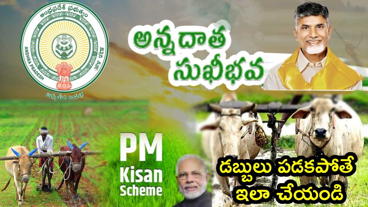 PM Kisan – Annadata Sukhibhava : అన్నదాత సుఖీభవ- పీఎం కిసాన్ డబ్బులు రాకపోతే ఏం చేయాలి? ఇదిగో సింపుల్ ప్రాసెస్..!