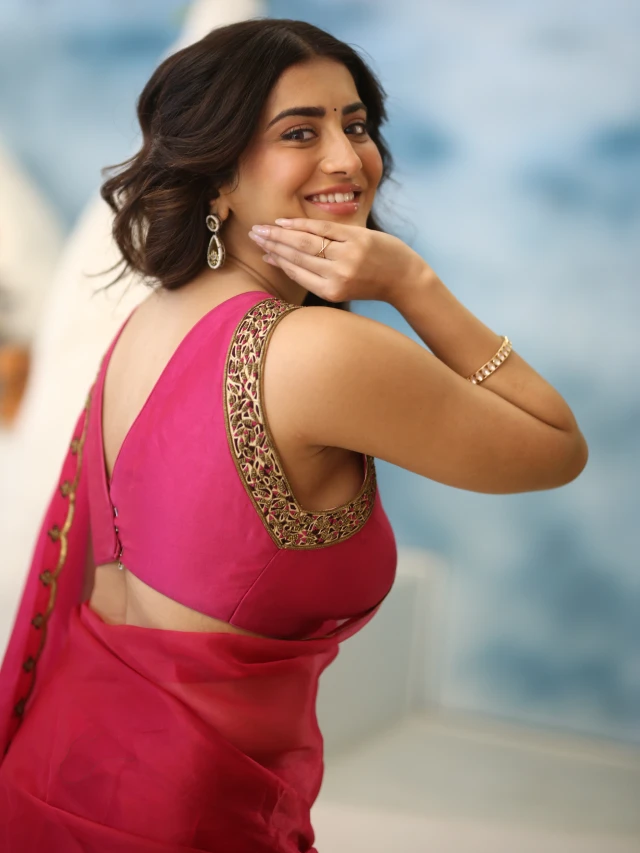 Rashi Singh Stunning Looks in saree