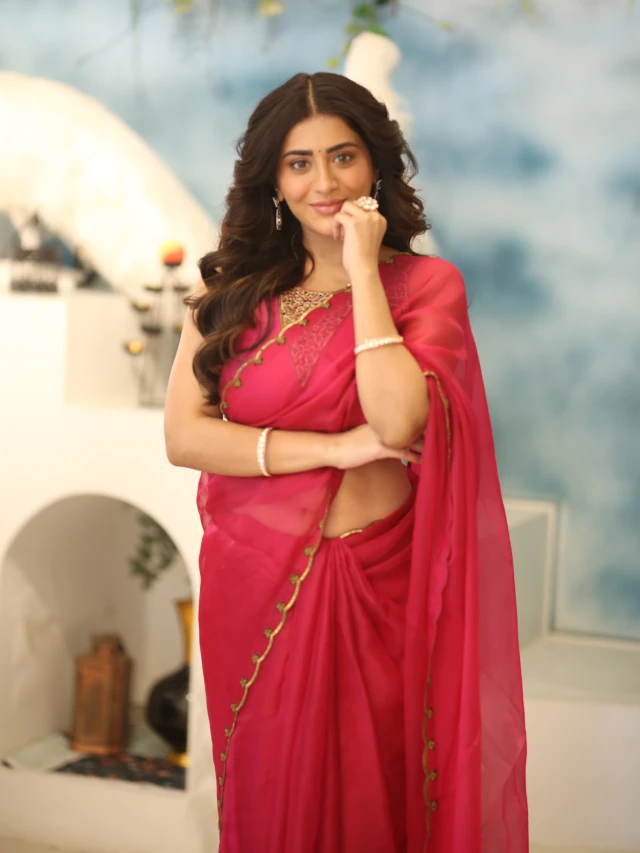 Rashi Singh Stunning Looks in saree