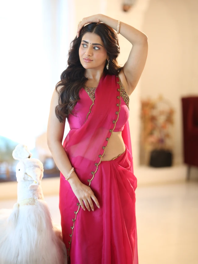 Rashi Singh Stunning Looks in saree