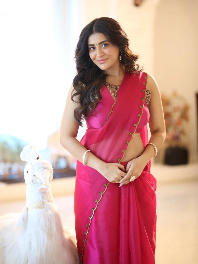 Rashi Singh Stunning Looks in saree
