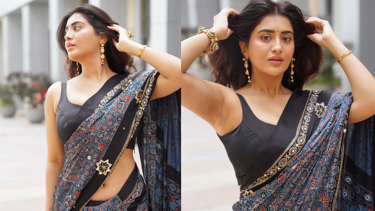 Rashi Singh : ఆహా.. చీరకట్టులో రాశి సింగ్ అందాలు అదరహో..