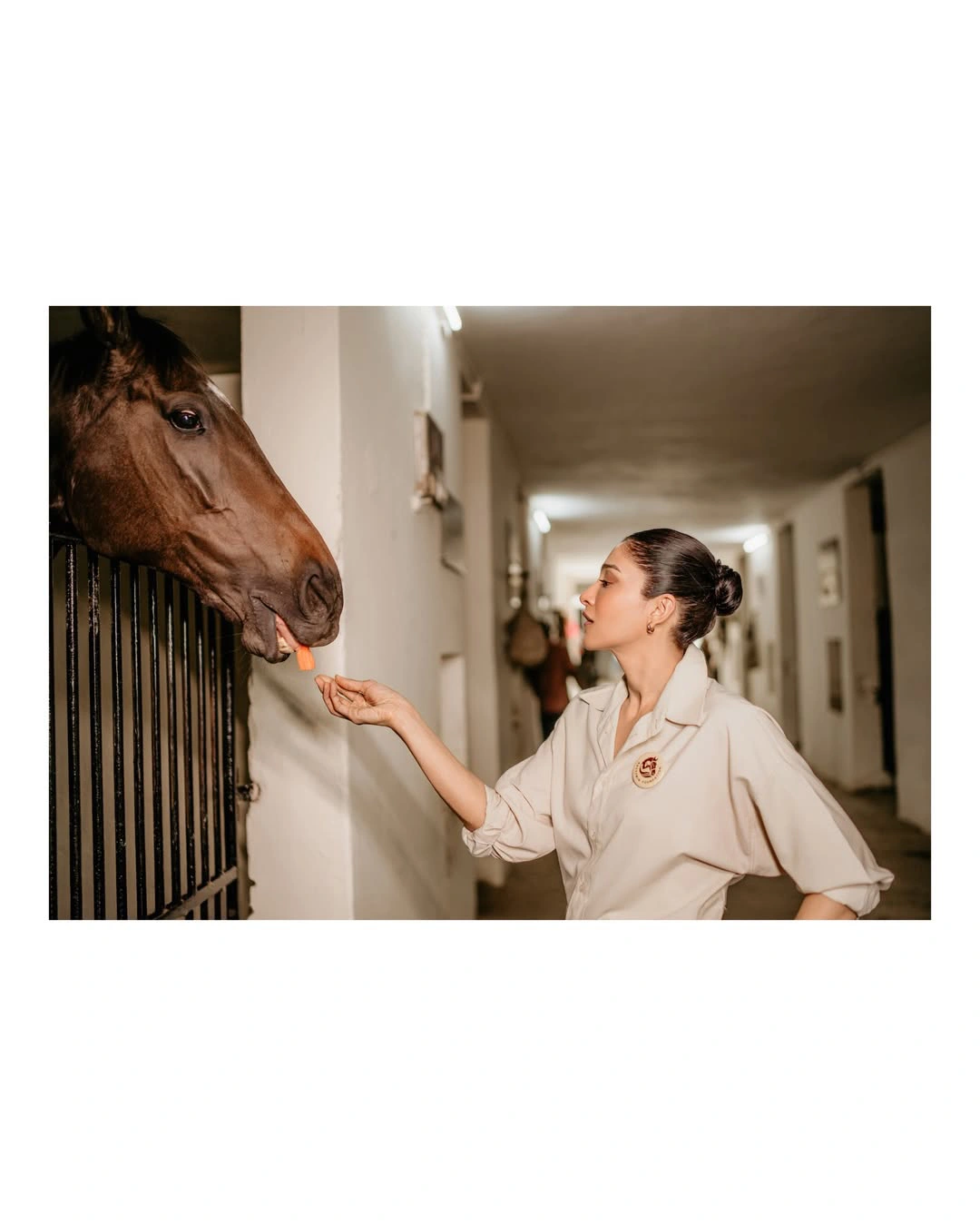 Regena Cassandrra Adopt a Horse