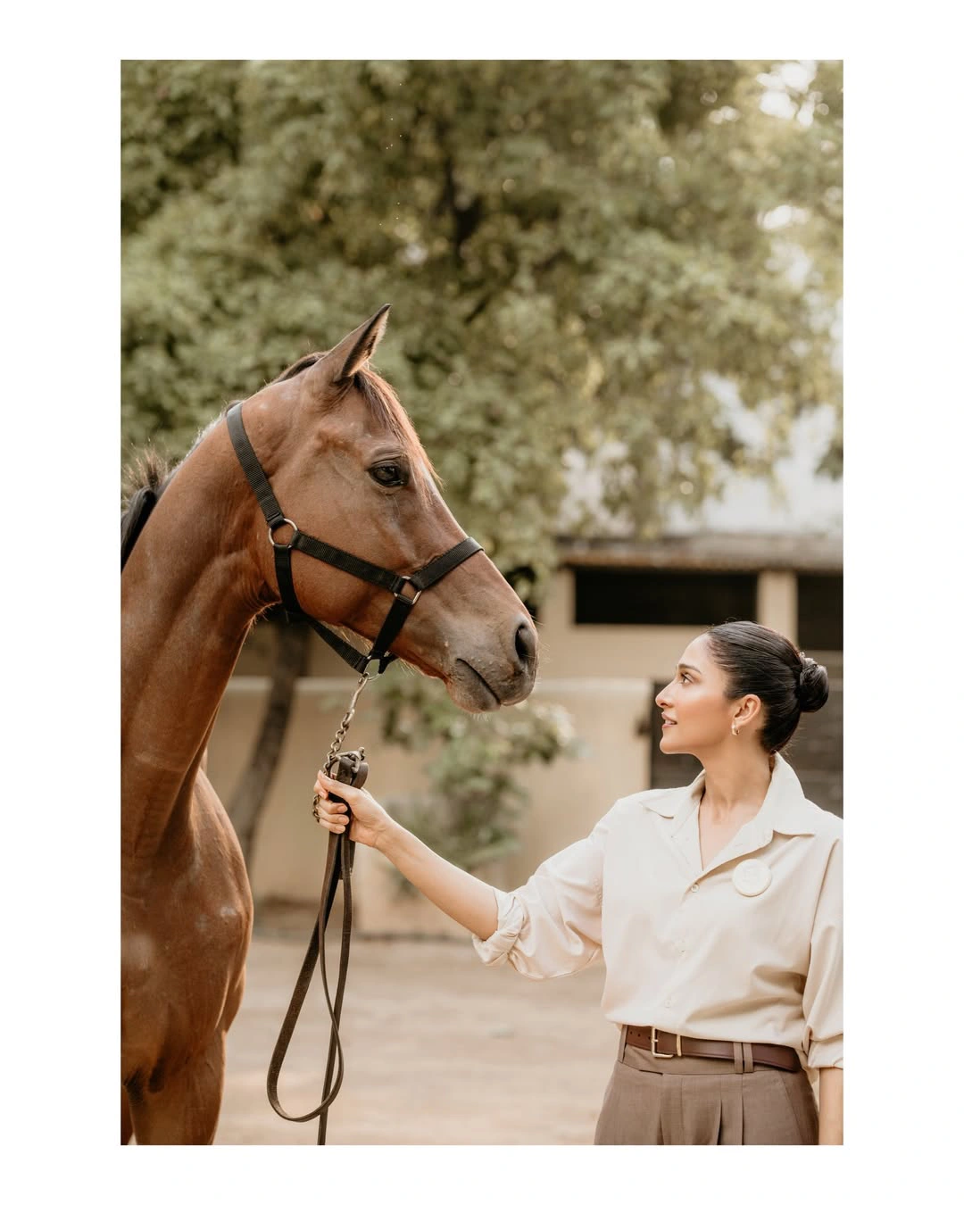Regena Cassandrra Adopt a Horse
