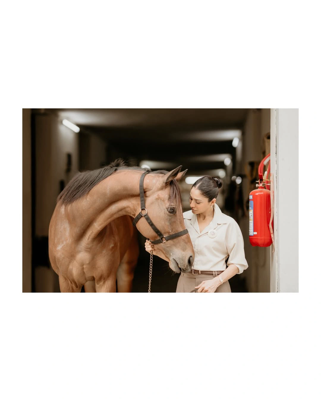 Regena Cassandrra Adopt a Horse