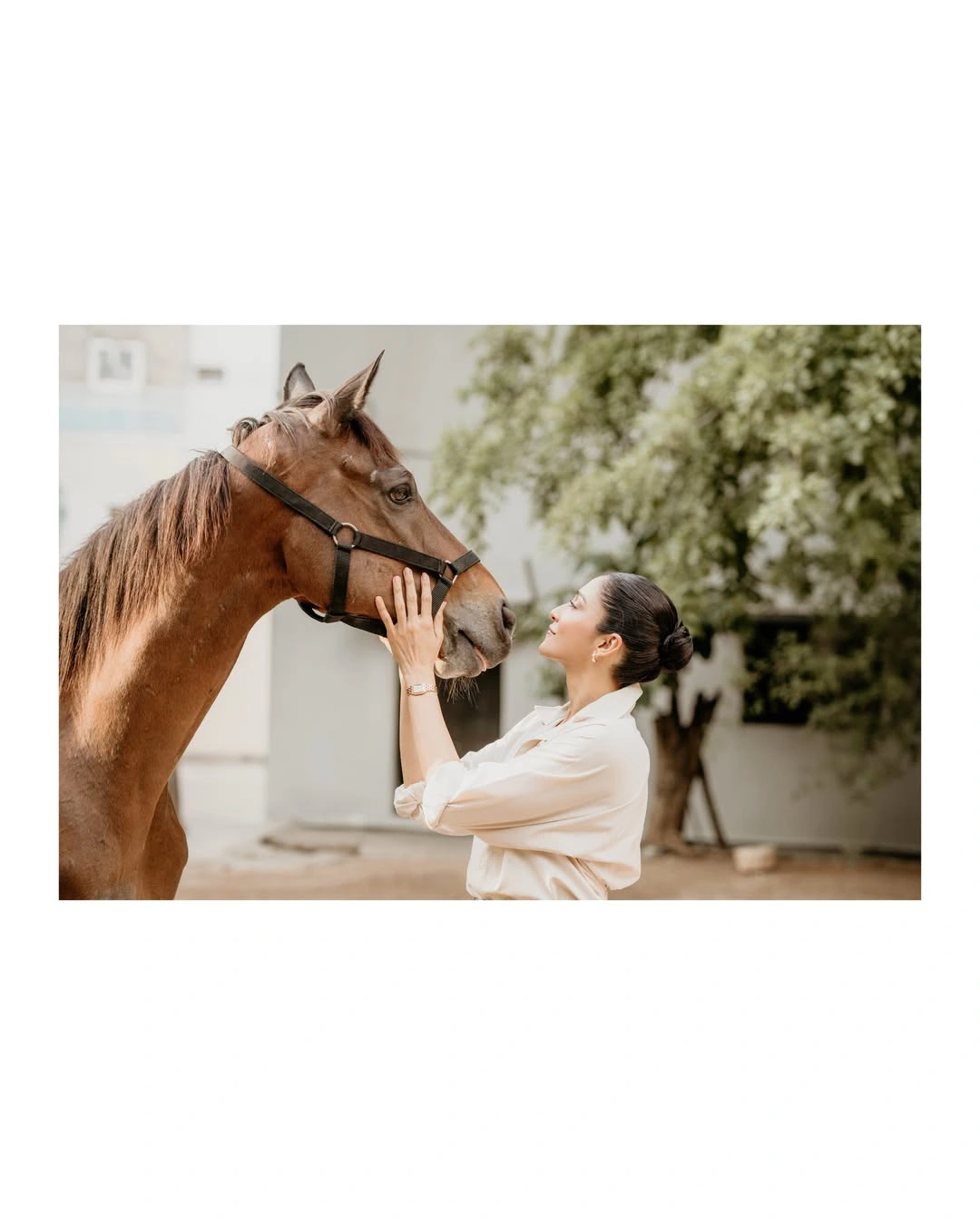 Regena Cassandrra Adopt a Horse