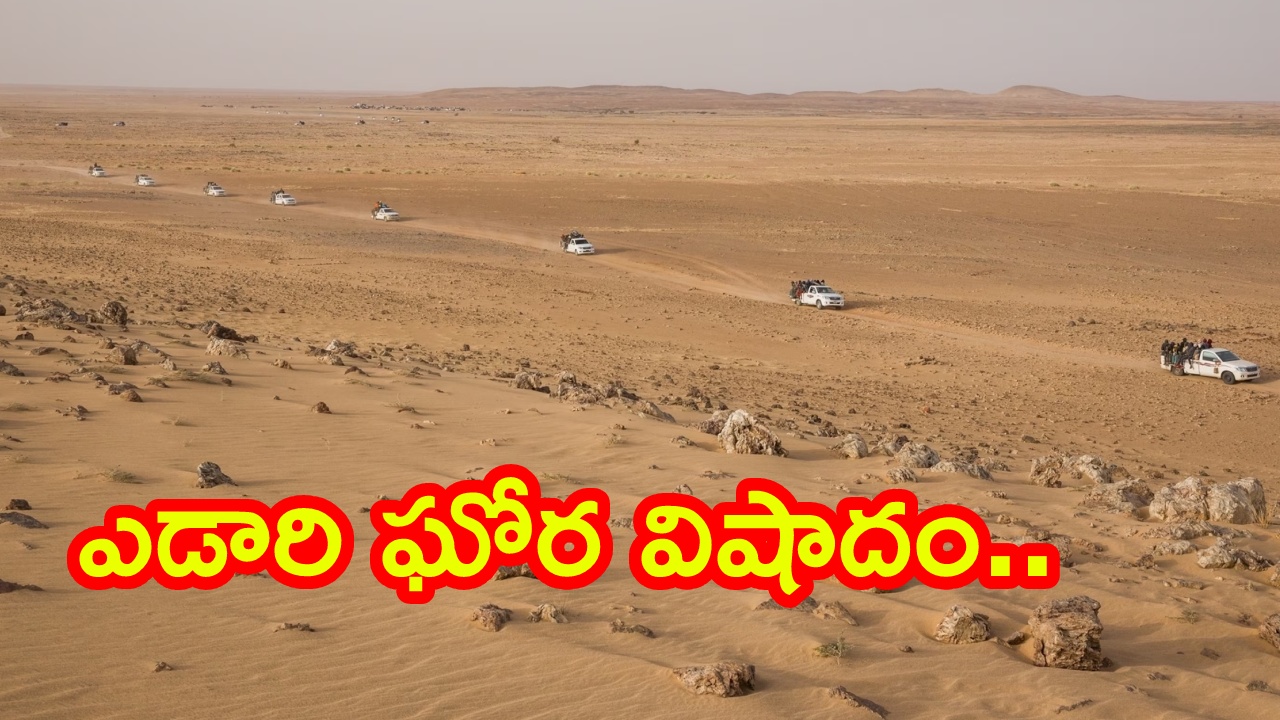 Sahara Desert Tragedy : ఘోర విషాదం.. ఎడారిలో చెడిపోయిన ట్రక్కు.. నీరు దొరక్క 49 మంది మృతి..